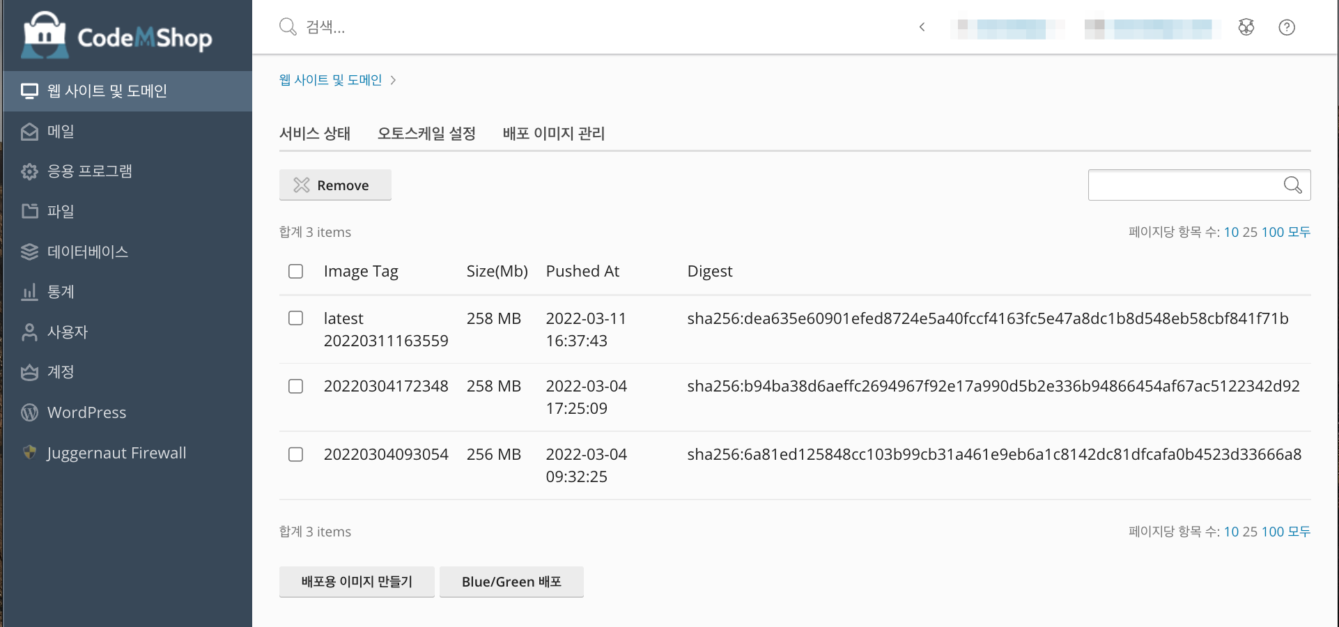 웹 사이트 배포 (97) 사진